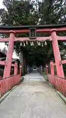 遠野郷八幡宮(岩手県)