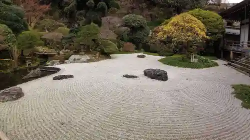 報国寺の庭園