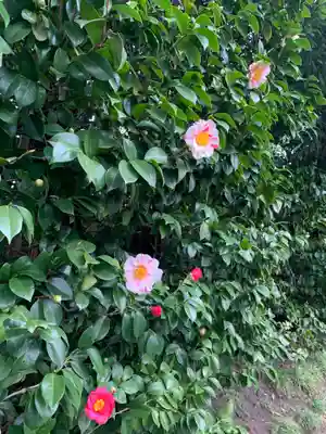 城南宮(京都府)