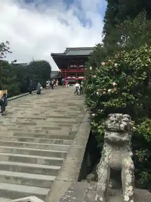 鶴岡八幡宮の狛犬