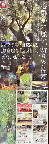 來宮神社(静岡県)