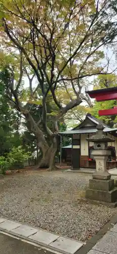 蠶養國神社の周辺