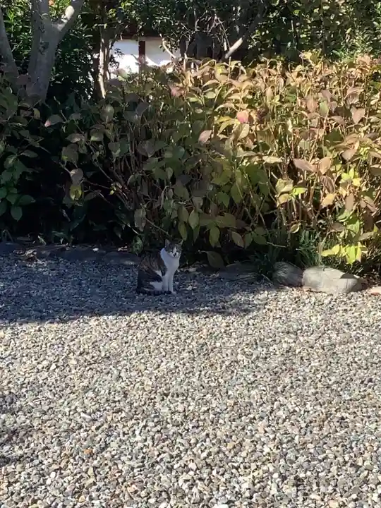 喜見寺(愛知県)