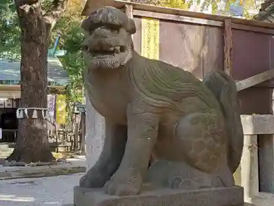 駒込天祖神社の狛犬