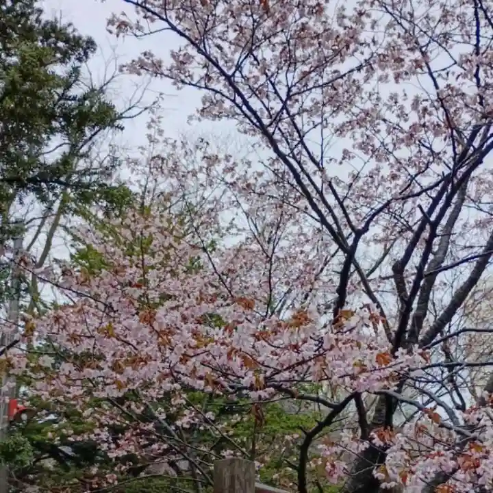 彌彦神社 (伊夜日子神社)の自然