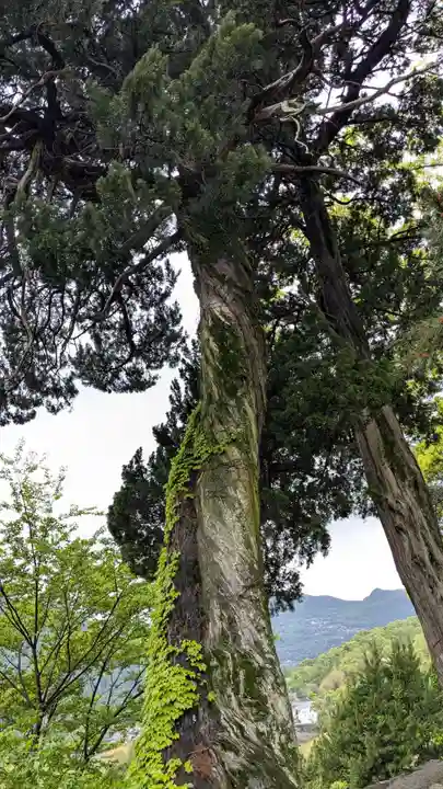 湯舟山 蓮華寺(香川県)