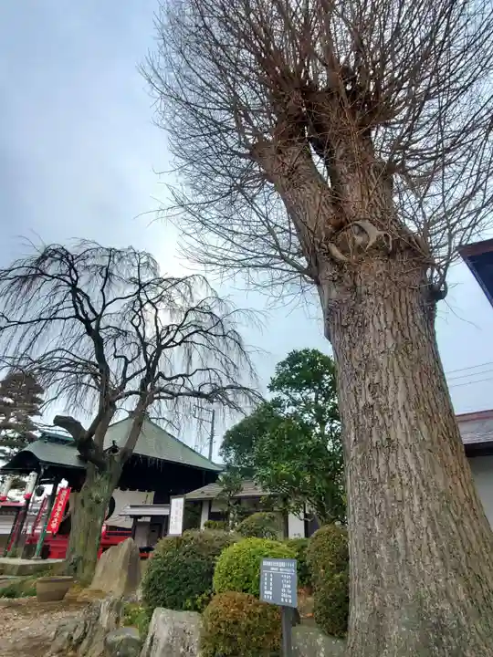 長松院(福島県)