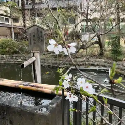 富岡八幡宮(東京都)