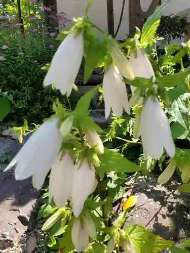 沙沙貴神社(滋賀県)