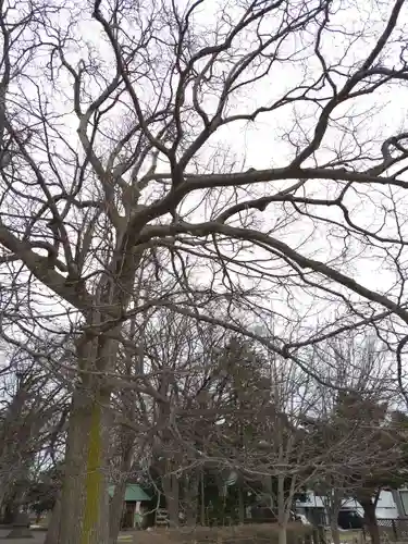 厚別神社(北海道)