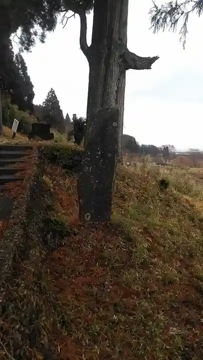 名称不明(熊本県)