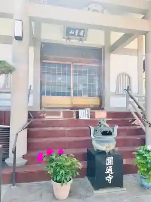 圓通寺の{uncategorized: "未分類", other: "その他", undefined: "問題あり", building: "その他建物", grave: "お墓", sacred_gate: "鳥居", guardian: "狛犬", statue: "像", buddha: "仏像", history: "歴史", nature: "自然", garden: "庭園", animal: "動物", pagoda: "塔", temizu: "手水舎", mountain_gate: "山門・神門", sanctuary: "本殿・本堂", subordinate: "末社・摂社", art: "芸術", scenery: "景色", jizo: "地蔵", ema: "絵馬", goshuin: "御朱印", omikuji: "おみくじ", items: "授与品その他", amulet: "お守り", goshuincho: "御朱印帳", eats: "食事", festival: "お祭り", votive_dance: "神楽", shichigosan: "七五三参", wedding: "結婚式", experience: "体験その他", initially: "初詣", around: "周辺", anti_infection: "感染症対策"}