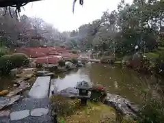 退蔵院の庭園