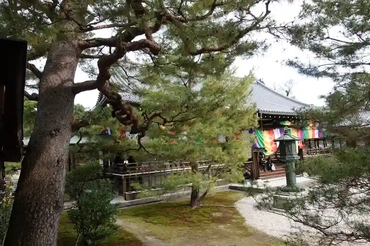 大覚寺の本殿・本堂