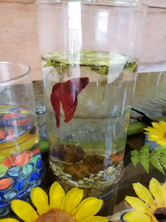 乃木神社(東京都)