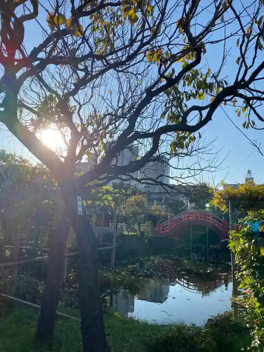 亀戸天神社の庭園
