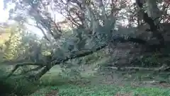 羽黒神社･三峯神社の周辺