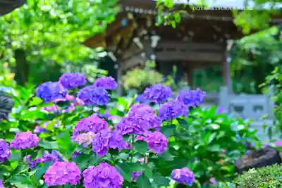 妙楽寺(神奈川県)