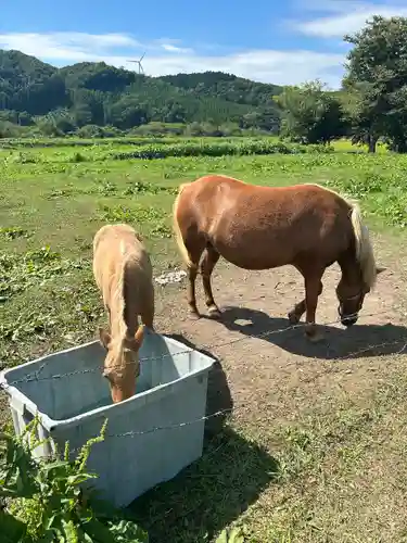 姫川稲荷神社(北海道)