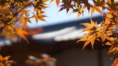 龍田大社(奈良県)