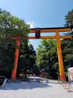 川越氷川神社の鳥居