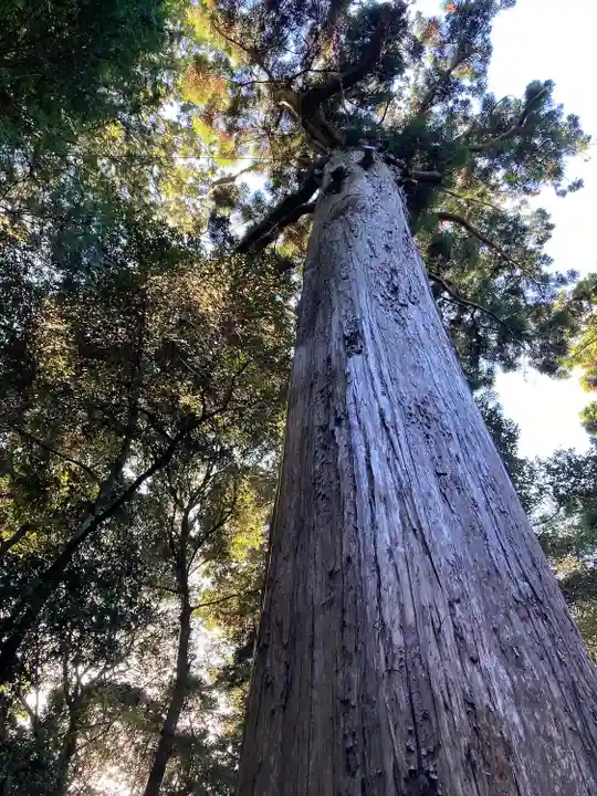 鹿島神宮(茨城県)