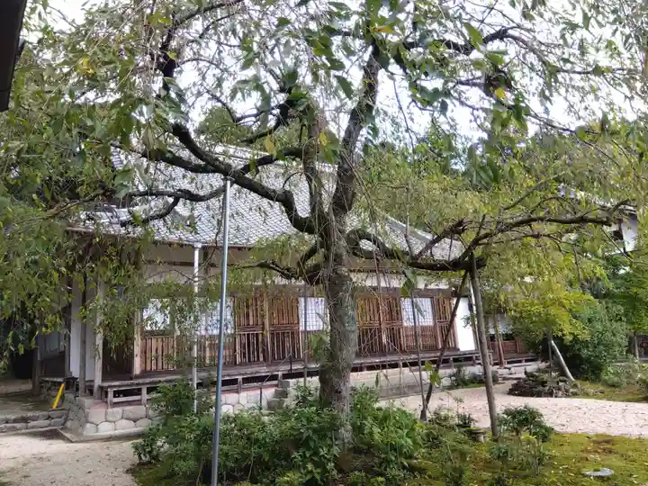 桃林寺(三重県)