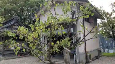 高岡関野神社の自然