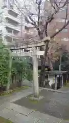 櫻田神社の鳥居