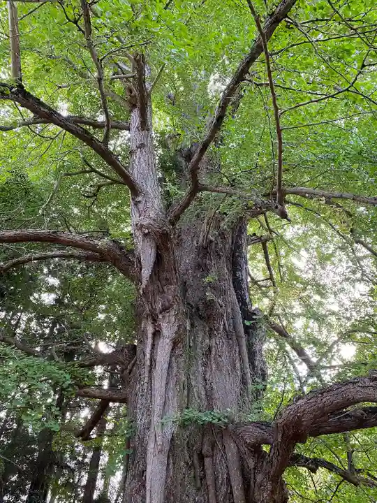 水戸八幡宮(茨城県)