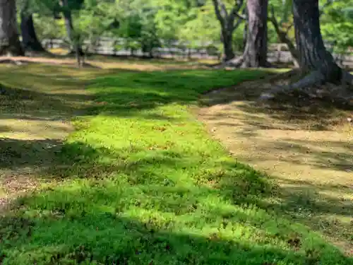 鹿苑寺（金閣寺）の自然