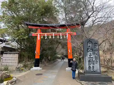 宇治上神社の初詣
