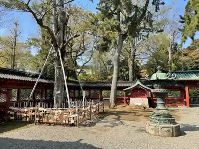 根津神社(東京都)