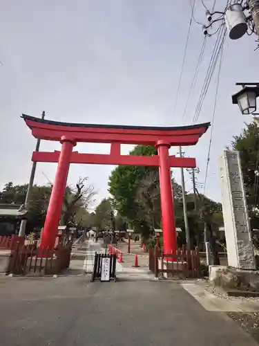 鷲宮神社(埼玉県)
