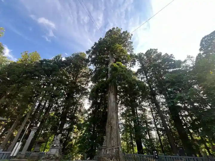 戸隠神社中社(長野県)