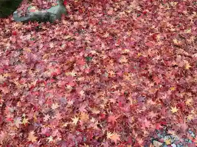 今熊野観音寺(京都府)