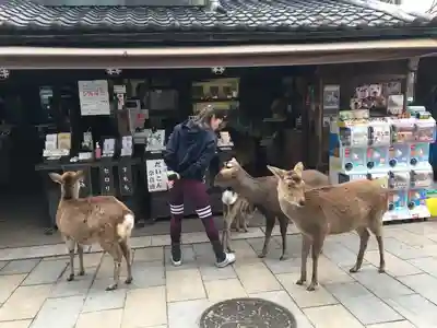 東大寺(奈良県)