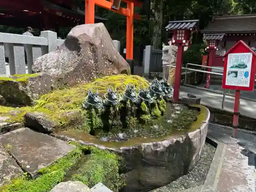 九頭龍神社新宮(神奈川県)
