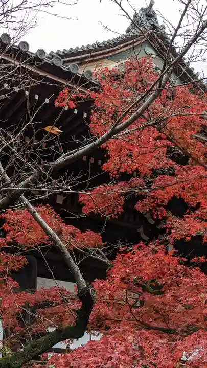 真正極楽寺(真如堂)(京都府)