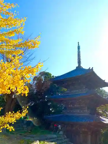 総見寺の塔