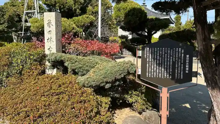 誉田八幡宮(大阪府)