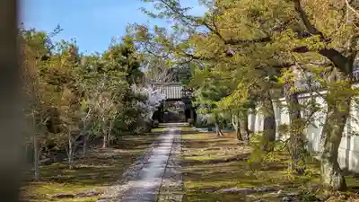 真如寺(京都府)