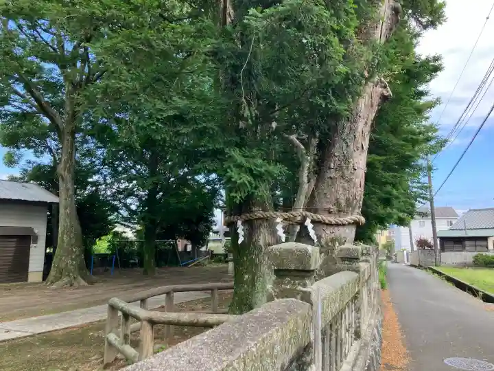 吉田神社(神奈川県)