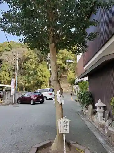 大宮八幡宮のその他建物