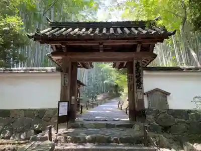 地蔵院(京都府)