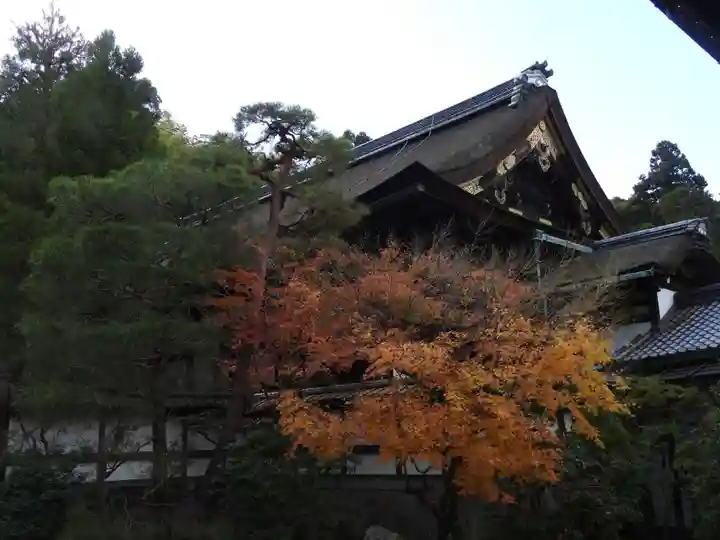 御寺 泉涌寺(京都府)