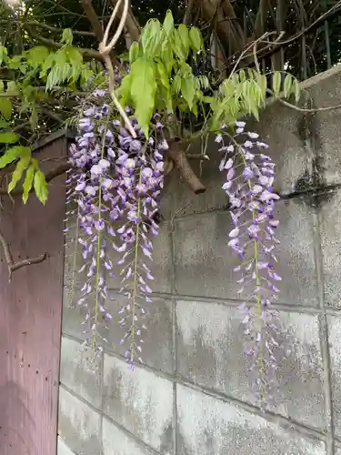 豊康龍神(京都府)