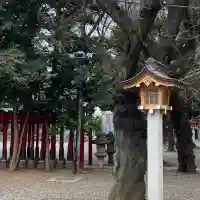 花園神社の{uncategorized: "未分類", other: "その他", undefined: "問題あり", building: "その他建物", grave: "お墓", sacred_gate: "鳥居", guardian: "狛犬", statue: "像", buddha: "仏像", history: "歴史", nature: "自然", garden: "庭園", animal: "動物", pagoda: "塔", temizu: "手水舎", mountain_gate: "山門・神門", sanctuary: "本殿・本堂", subordinate: "末社・摂社", art: "芸術", scenery: "景色", jizo: "地蔵", ema: "絵馬", goshuin: "御朱印", omikuji: "おみくじ", items: "授与品その他", amulet: "お守り", goshuincho: "御朱印帳", eats: "食事", festival: "お祭り", votive_dance: "神楽", shichigosan: "七五三参", wedding: "結婚式", experience: "体験その他", initially: "初詣", around: "周辺", anti_infection: "感染症対策"}