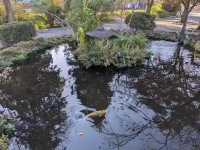 富士山本宮浅間大社(静岡県)