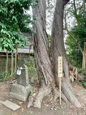 星宮神社(栃木県)